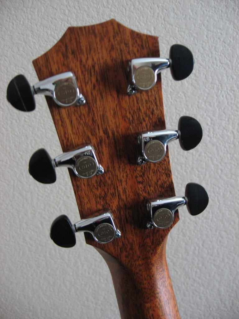 Photo of a Taylor with Gotoh 510 tuners? Page 3 The Acoustic Guitar